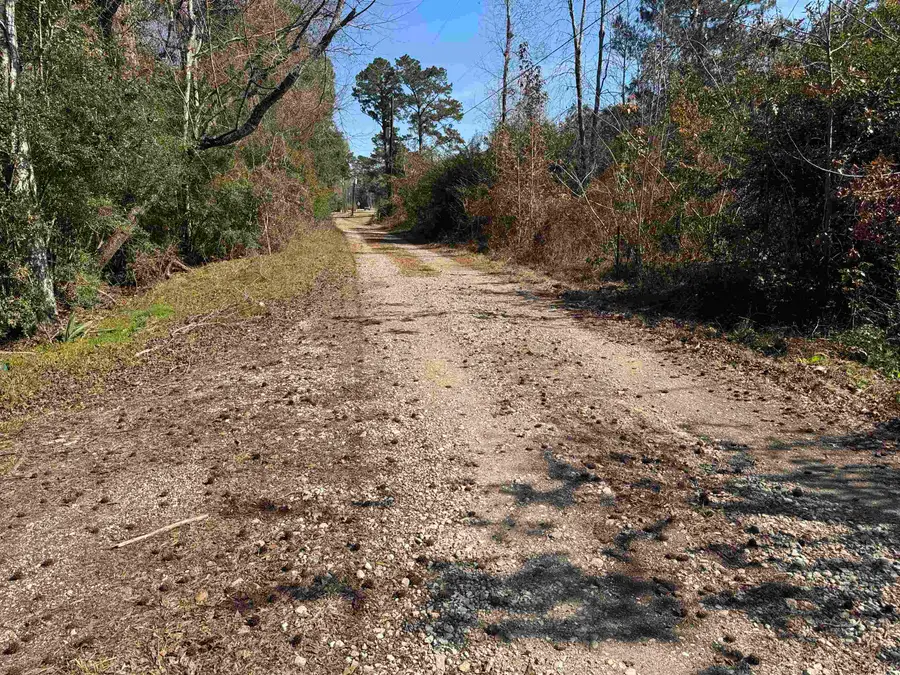 17440 Hammons, Batson, TX 77519 - #3