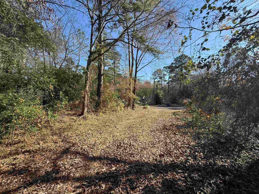 4405 N Tram, Vidor, TX 77662 - #2