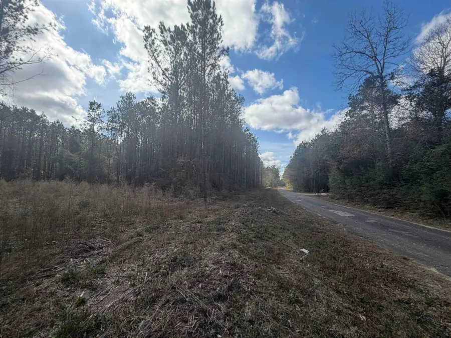 TBD CR 721, Buna, TX 77612 - Image #2