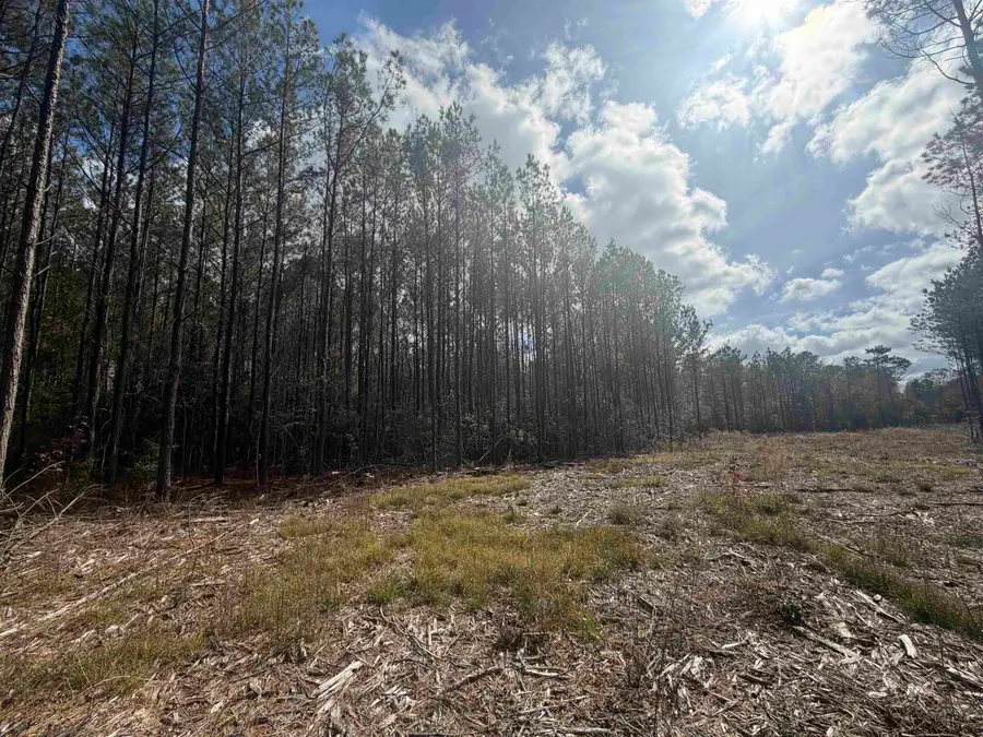 TBD CR 721, Buna, TX 77612 - Image #3