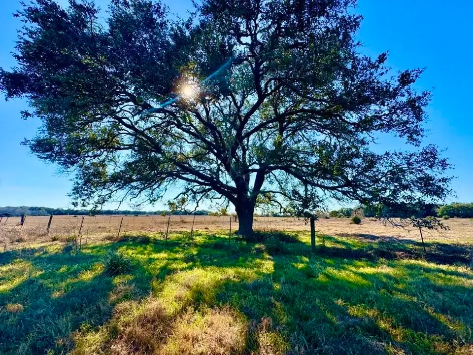 TBD Private Road 2501, Other, TX 77962-9999 - #1