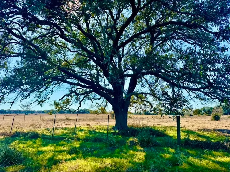 TBD Private Road 2501, Other, TX 77962-9999 - #2