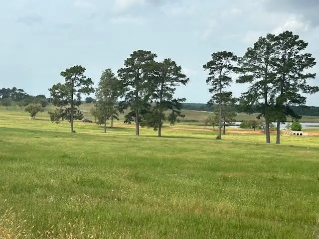 2622 Lakeland Drive Lot 207, Hillister, TX 77624-9999 - #1