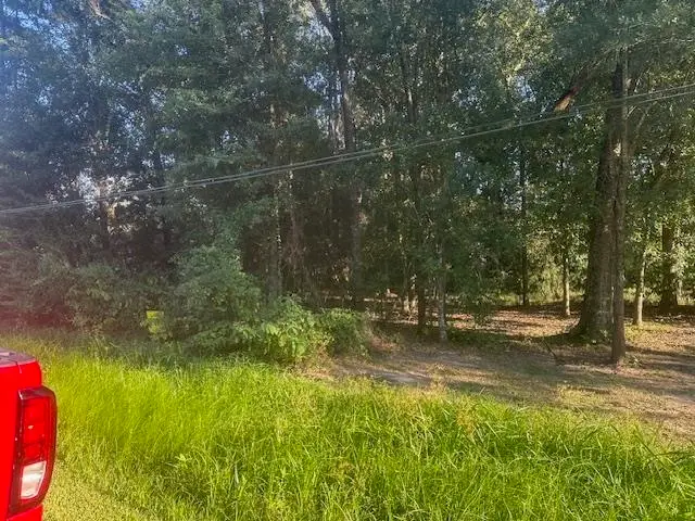 Laurel Street Lot 9, Vidor, TX 77662 - #2