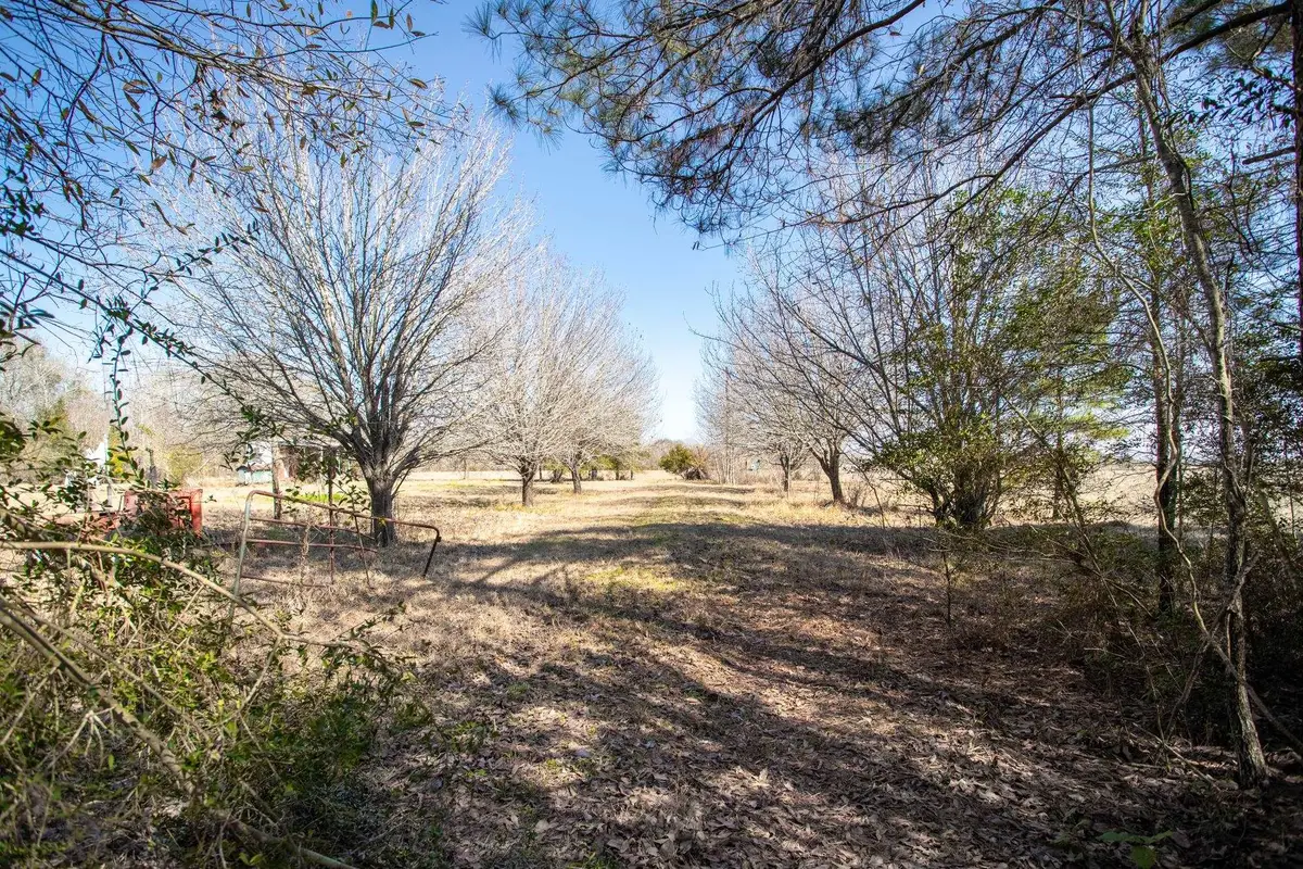 30808 Old Sour Lake Rd, Sour Lake, TX 77659 - #1