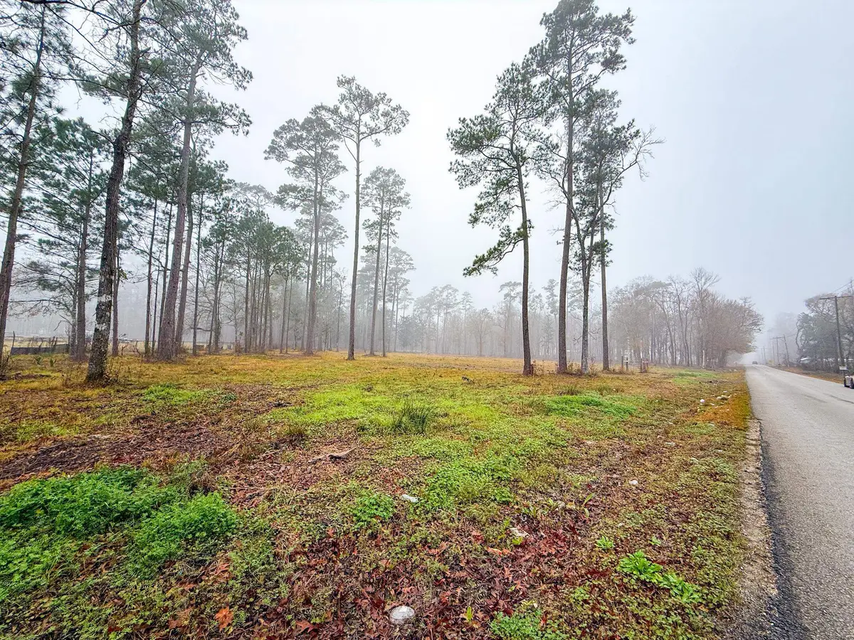 3295 N Tram, Vidor, TX 77662 - #1