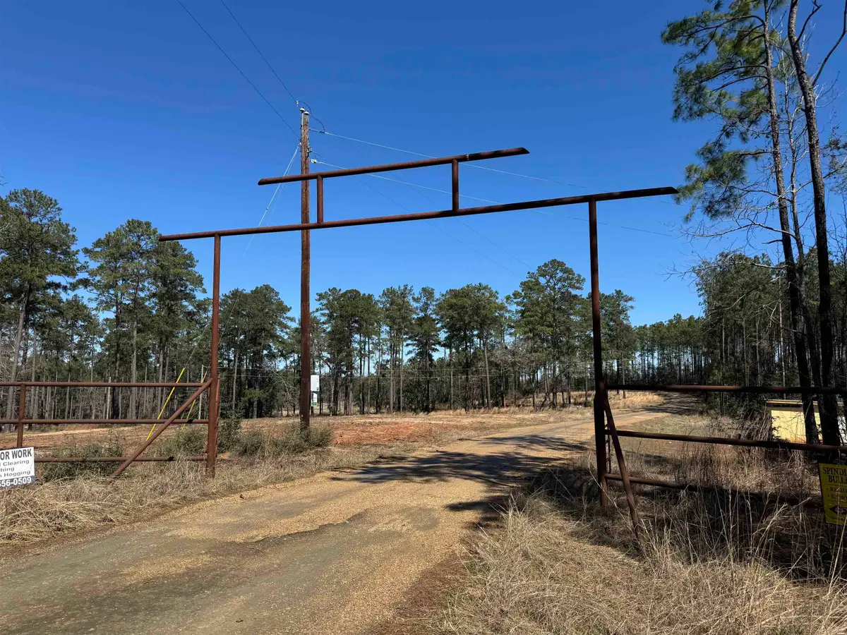 087 Private Road 6028, Brookeland, TX 75931 - #1