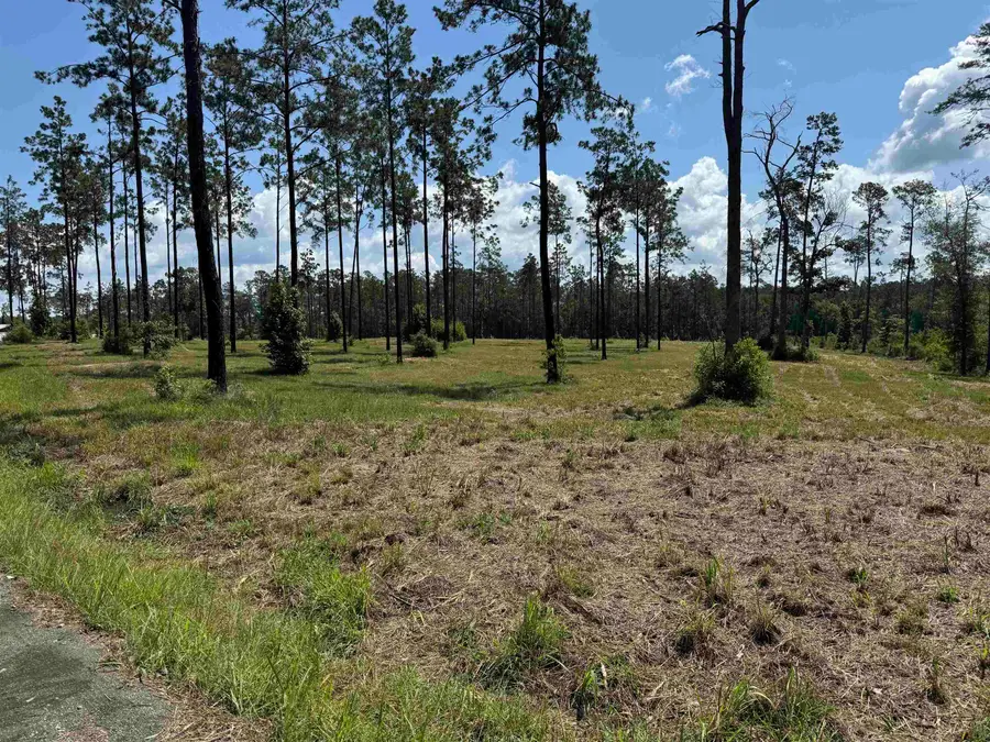 087 Private Road 6028, Brookeland, TX 75931 - #2