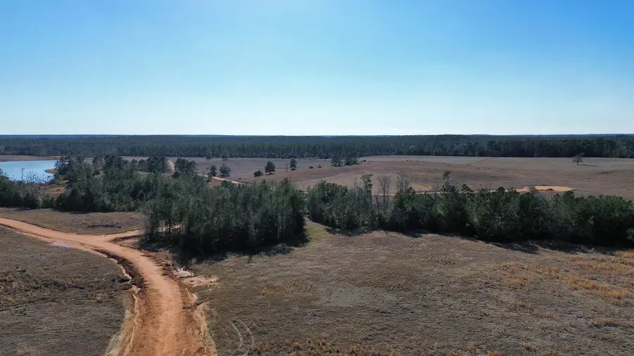 Lot 324 E Madison Lake Dr, Hillister, TX 77624 - #3