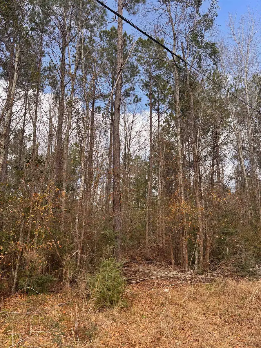 15.45 AC County Road 434, Jasper, TX 75951 - #2