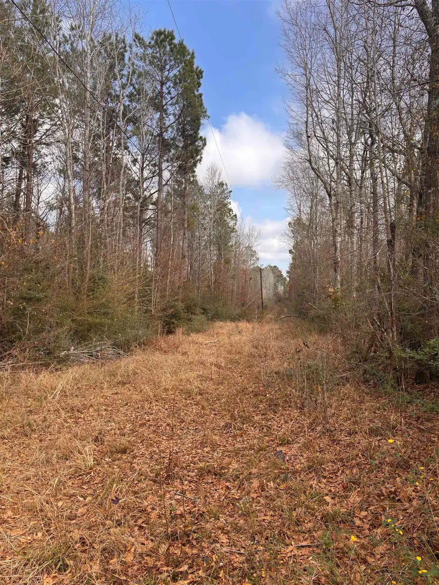 15.45 AC County Road 434, Jasper, TX 75951 - #3