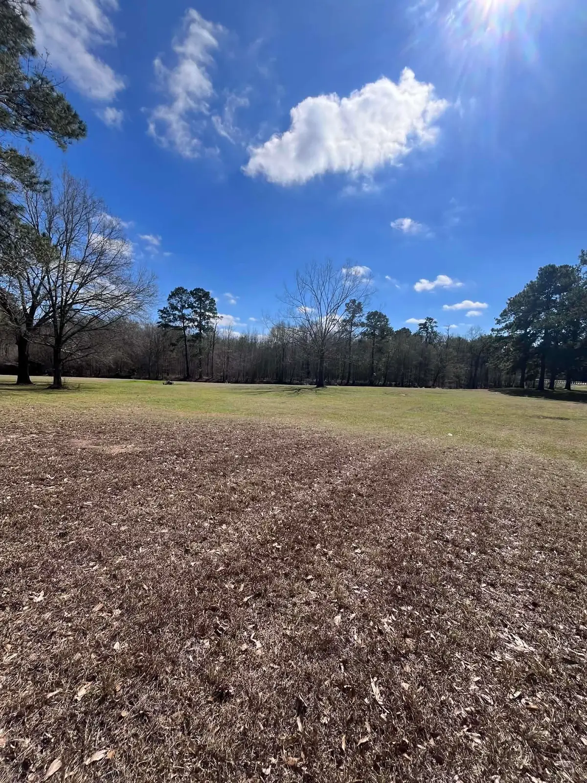 8696 FM 1442, Orange, TX 77630-0000 - #1