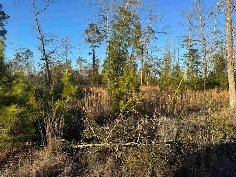 TBD Private Road 6148, Jasper, TX 75951 - #2