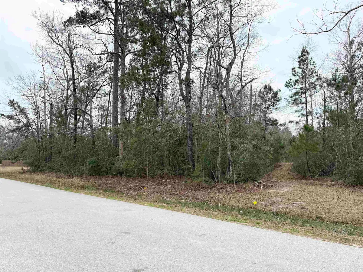 Lot 42 of 48A Michael Loop, Lumberton, TX 77657 - #1