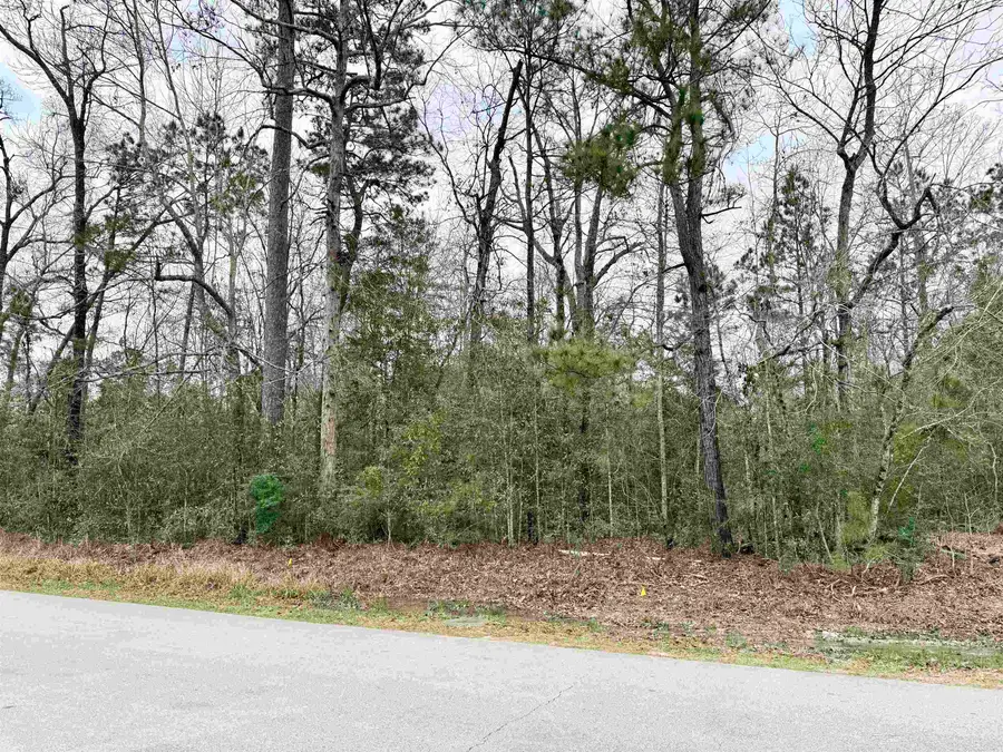 Lot 42 of 48A Michael Loop, Lumberton, TX 77657 - #3