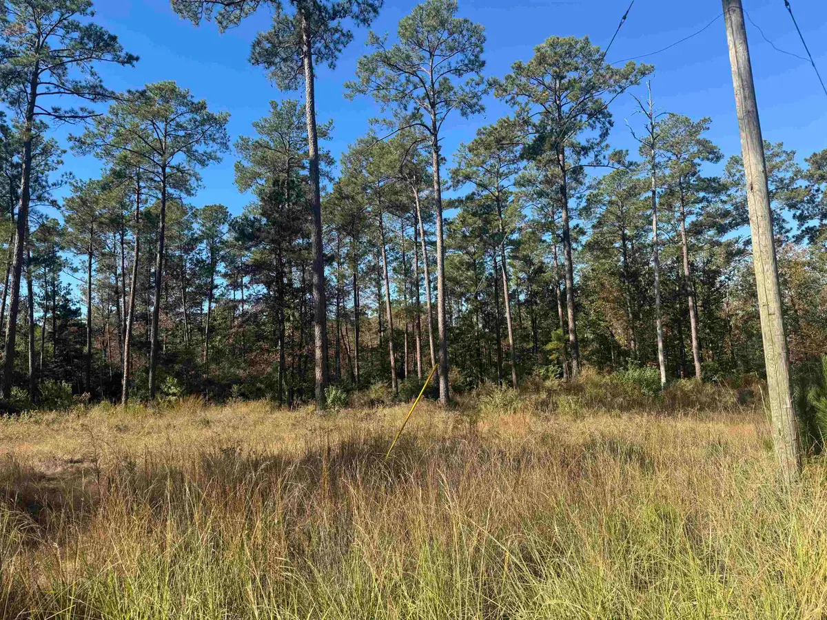057 Private Road 6028, Brookeland, TX 75931 - #1