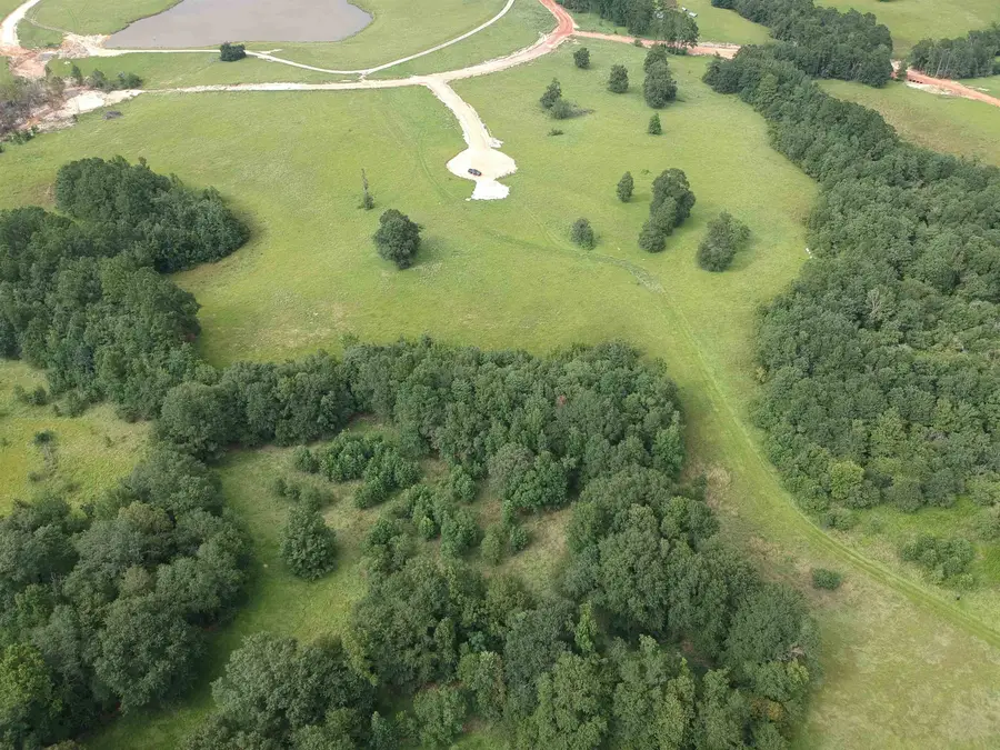 Lot 364 Lakeland Ranch, Hillister, TX 77624-9999 - #3