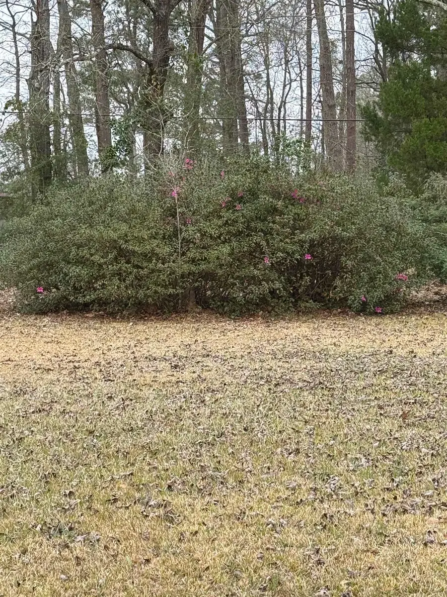 0 Jordan Drive, Lumberton, TX 77657 - #2