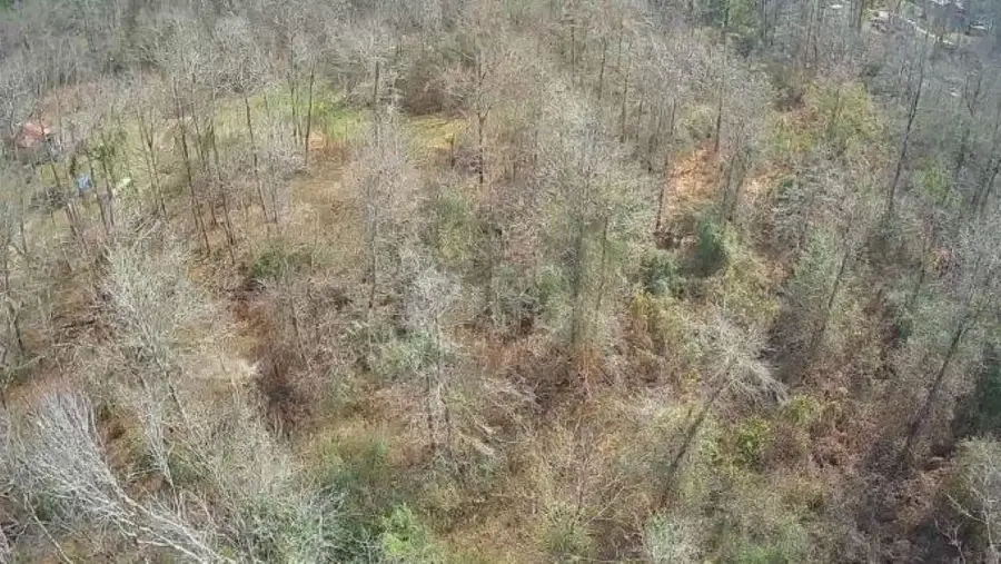 TBD CR 3107, Call, TX 75933 - #2