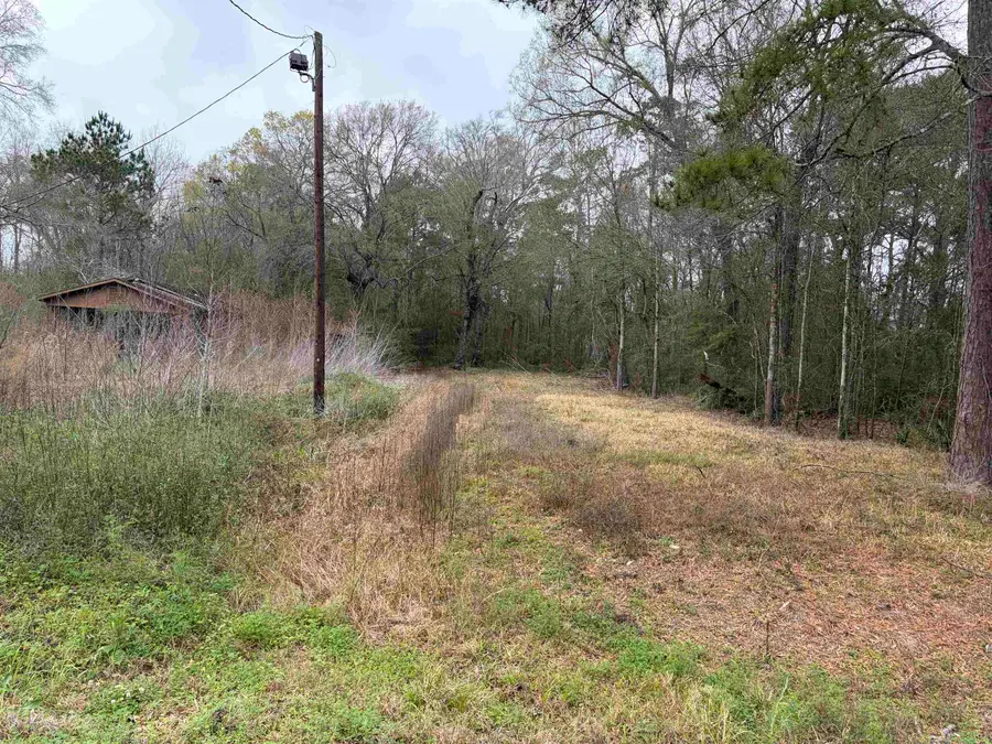 1345 3rd Street, Vidor, TX 77662 - #3