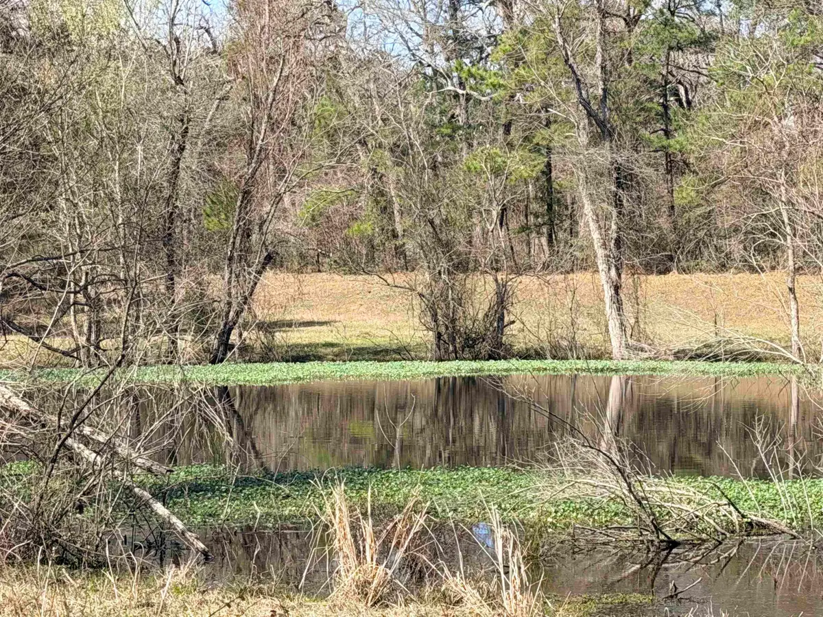 919 PINE VALLEY ROAD, Other, TX 75941 - #1