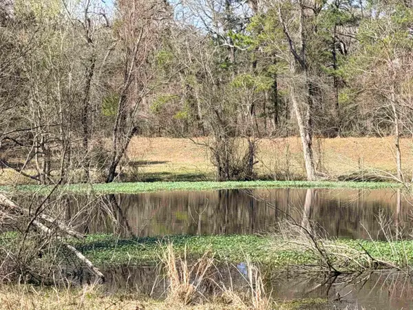 919 PINE VALLEY ROAD, Other, TX 75941