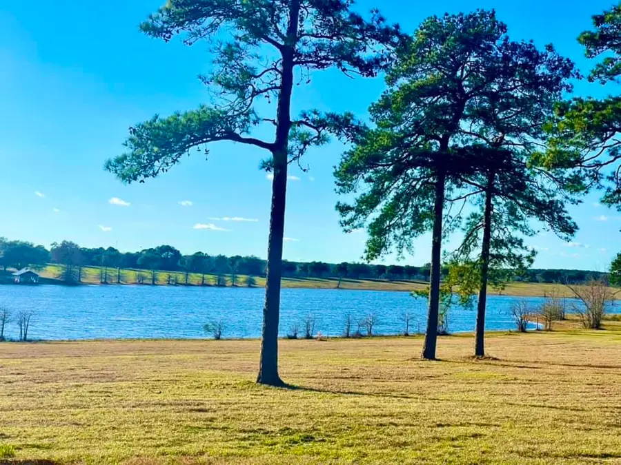 Lot 29 E Lakeland Court, Hillister, TX 77624-9999 - #2