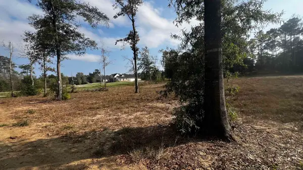 1705 Essence Ln, Orange, TX 77630