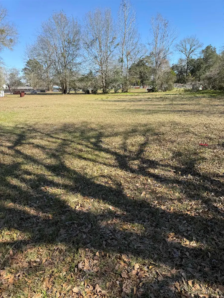 625 S 3rd, Silsbee, TX 77656 - #3