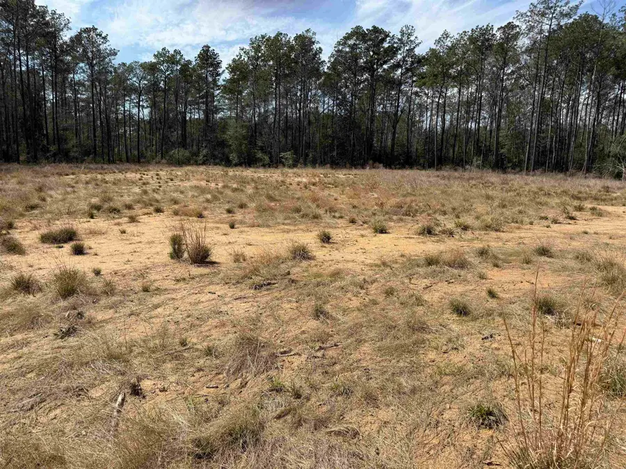 9105 Grizzly, Kountze, TX 77625 - #2