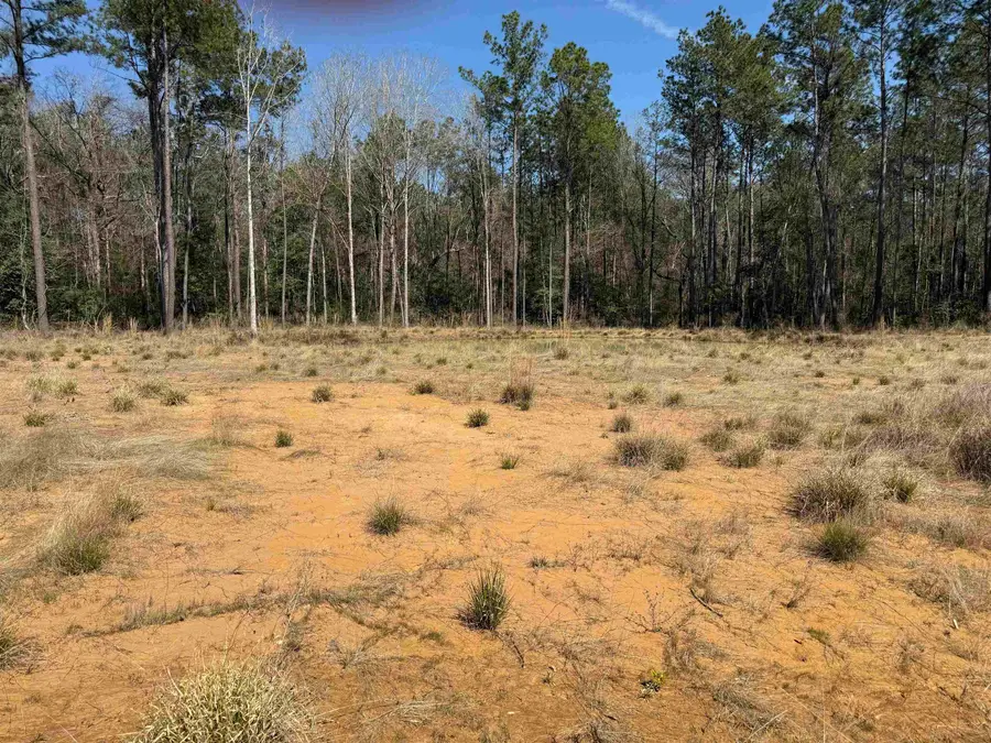 9105 Grizzly, Kountze, TX 77625 - #3