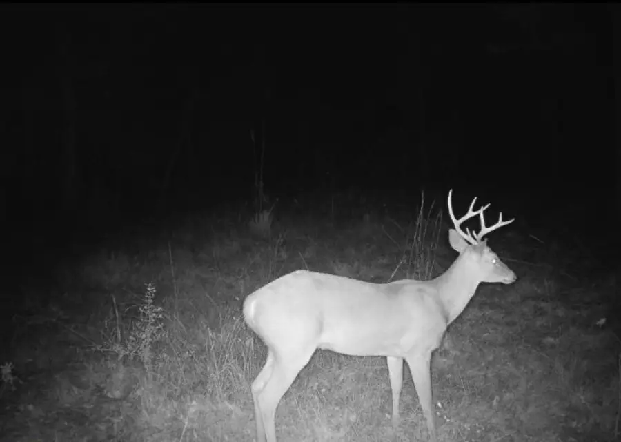 00 County Road 883 - Tract 3, Vidor, TX 77662 - #2