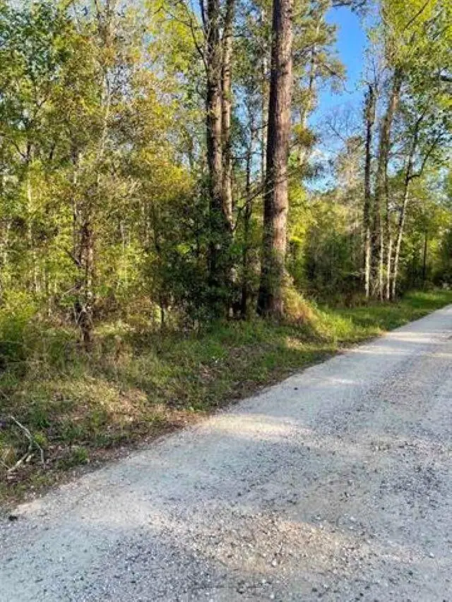 TBD County Road 4205, Orange, TX 77632 - #2