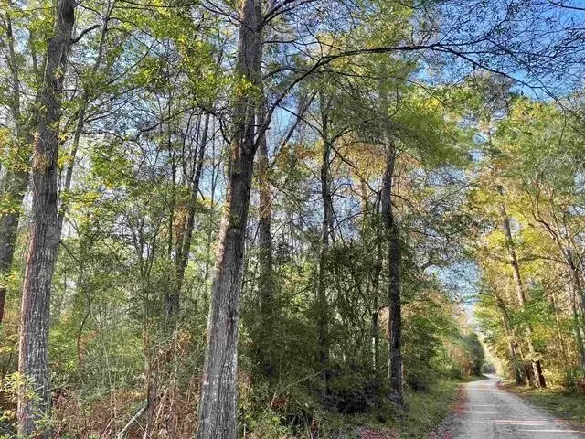 TBD County Road 4205, Orange, TX 77632 - #3