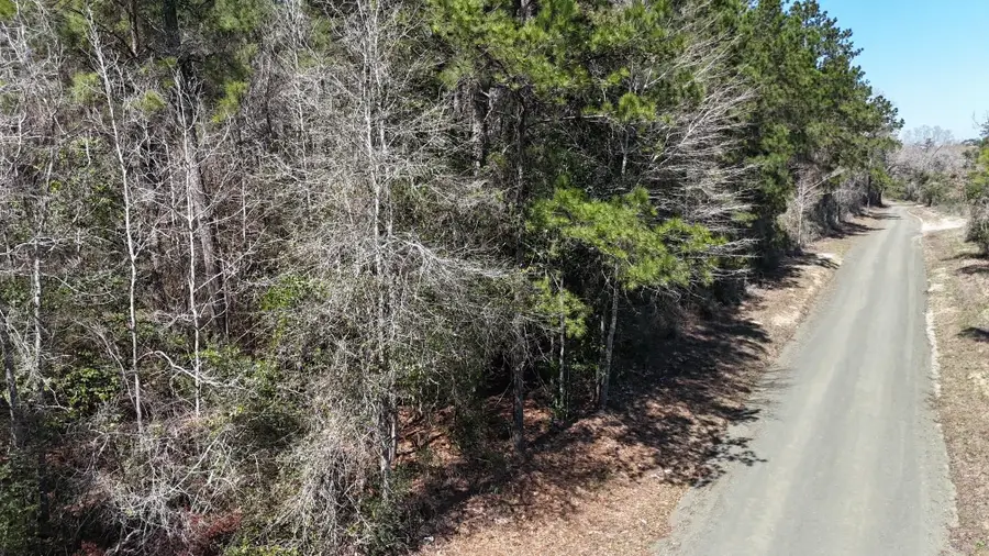 236 COUNTY ROAD 4583, Spurger, TX 77660 - #2