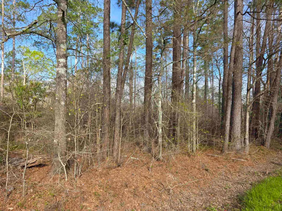 Patricia St., Orange, TX 77632 - #2