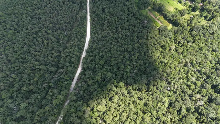 00 COUNTY ROAD 3114, Buna, TX 77612 - #3