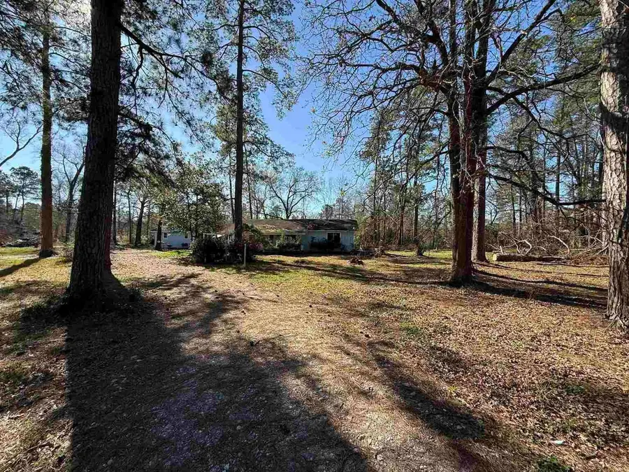 8141 Tall Pines Lane, Orange, TX 77632 - #3