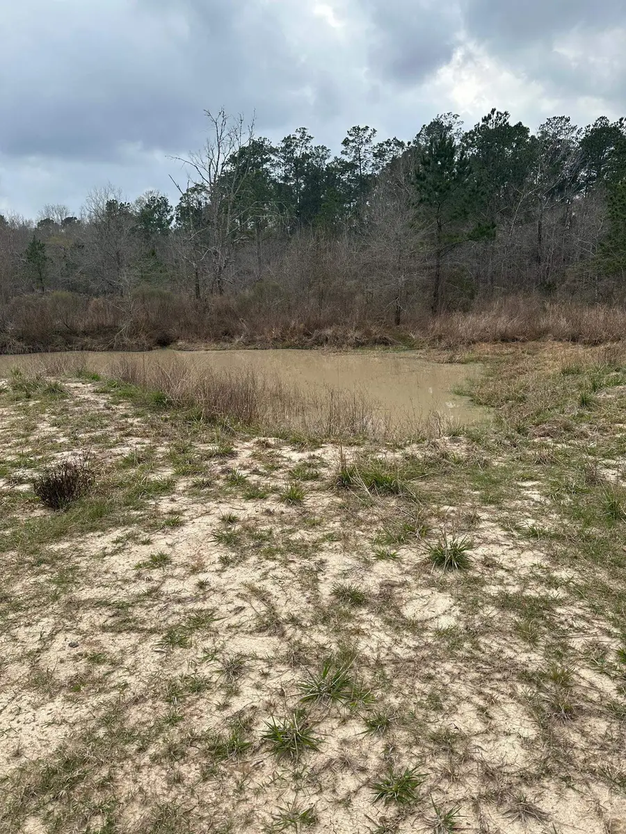 2094 County Rd 826, Buna, TX 77612 - #2