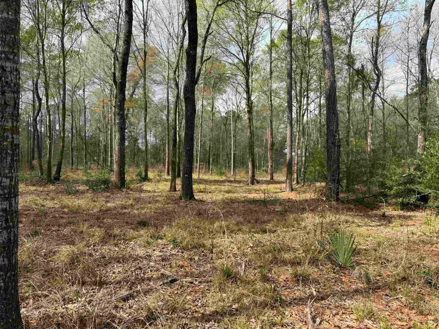 325 JENNINGS RD, Vidor, TX 77666-2 - #2