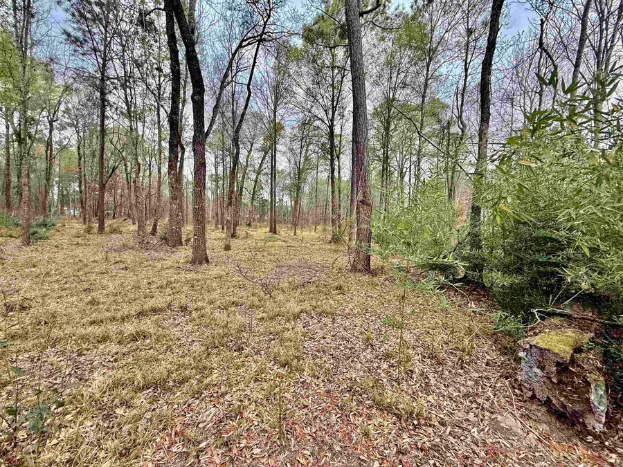 325 JENNINGS RD, Vidor, TX 77666-2 - #3