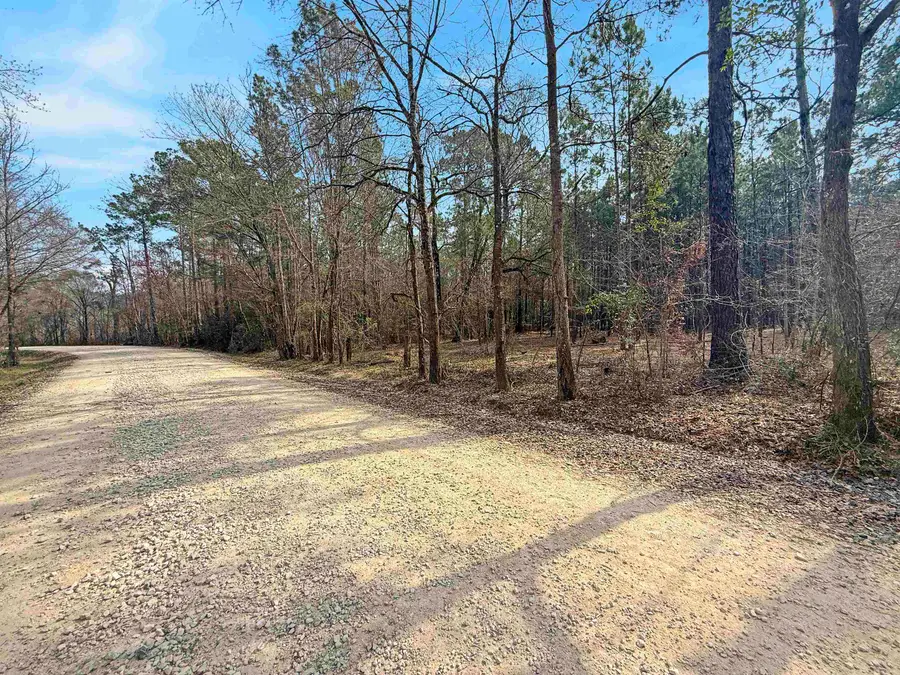 9220 WINGFIELD, Lumberton, TX 77657 - #2