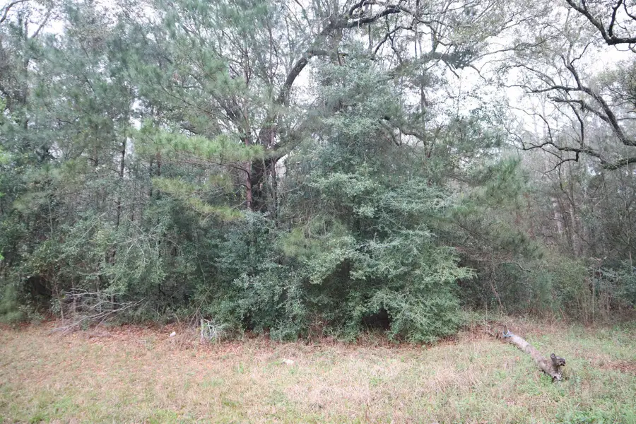 9242 FM 943, Kountze, TX 77625 - #2