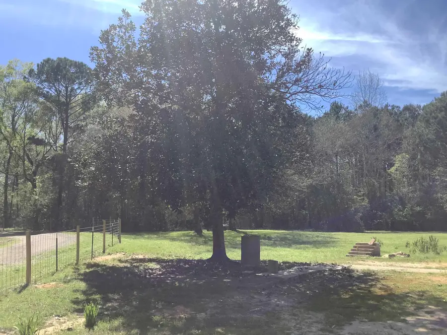 894 CR 144, Jasper, TX 75951 - #3