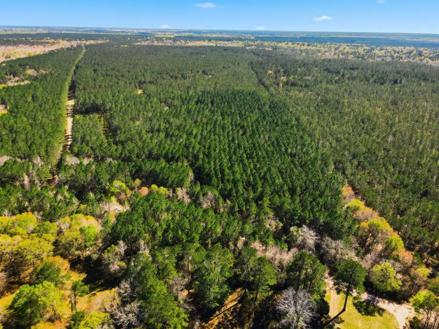 00 Silver Star Road, Sour Lake, TX 77659 - #2