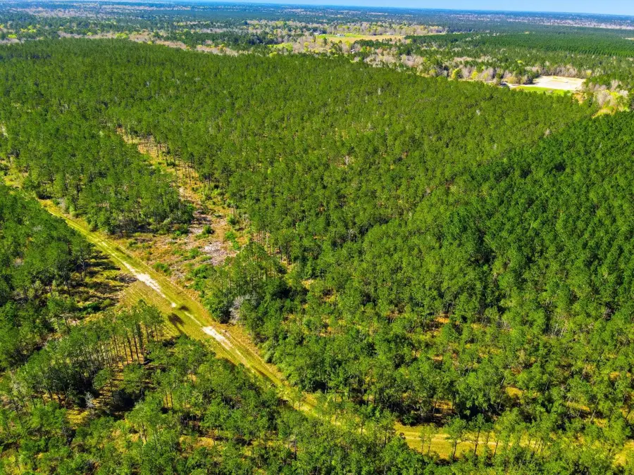 00 Silver Star Road, Sour Lake, TX 77659 - #3