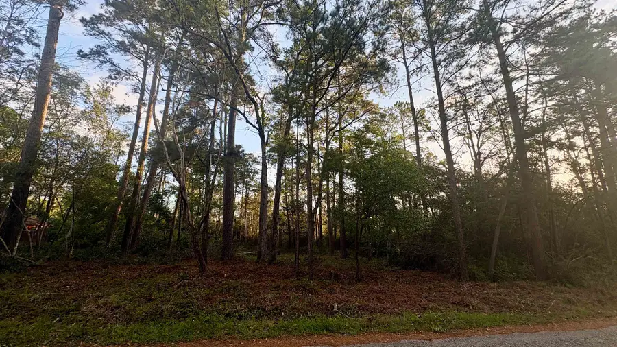 LOT17,18 CHANTICLEER DR, Woodville, TX 75979 - #3