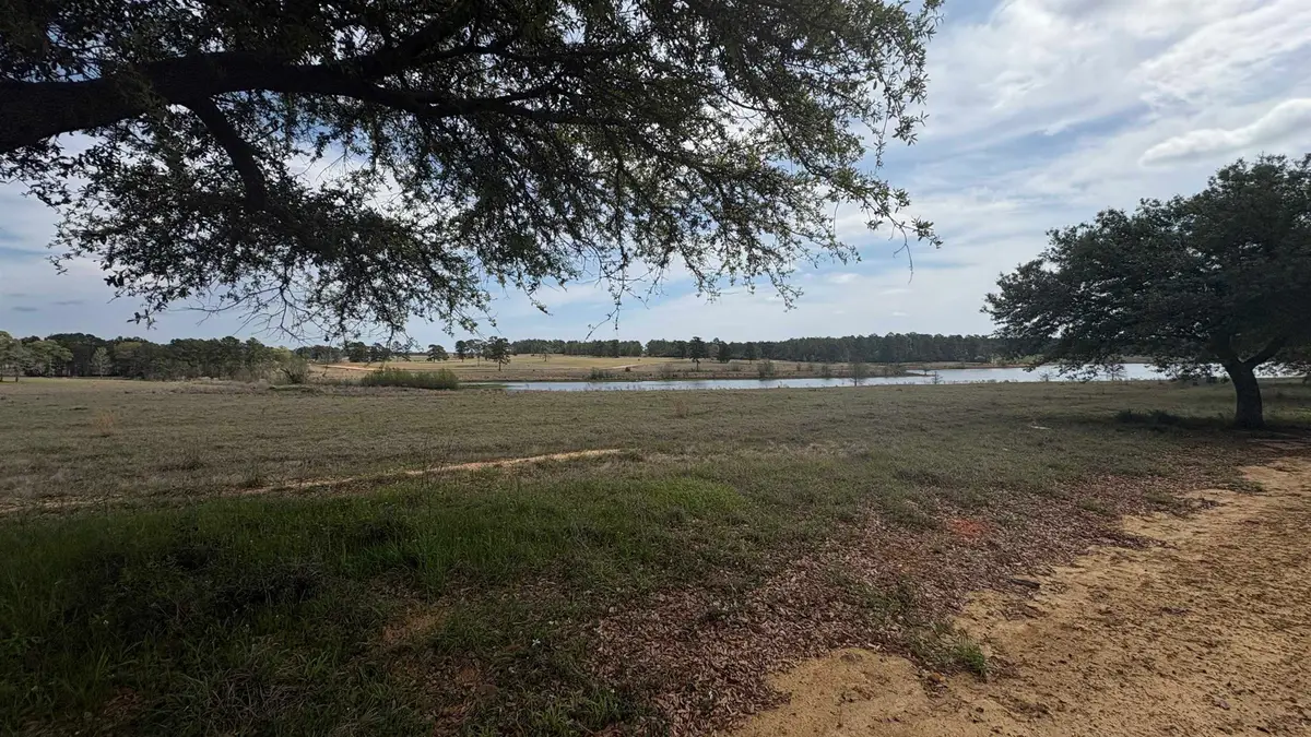 LOT 56 LAKELAND DR, Hillister, TX 77624 - #1
