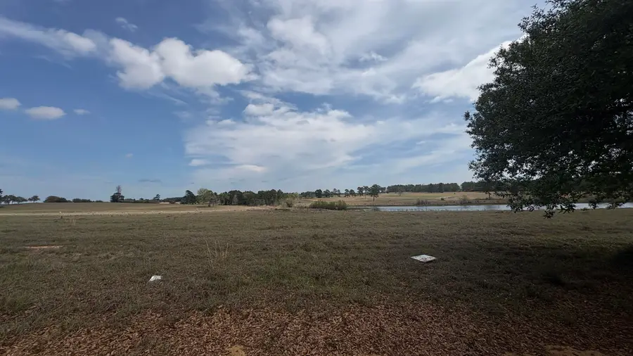 LOT 56 LAKELAND DR, Hillister, TX 77624 - #2