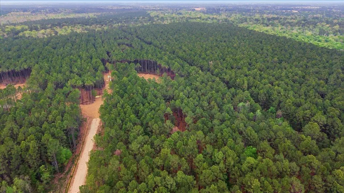 16201 Rustric Ranch Rd, Sour Lake, TX 77659 - #1